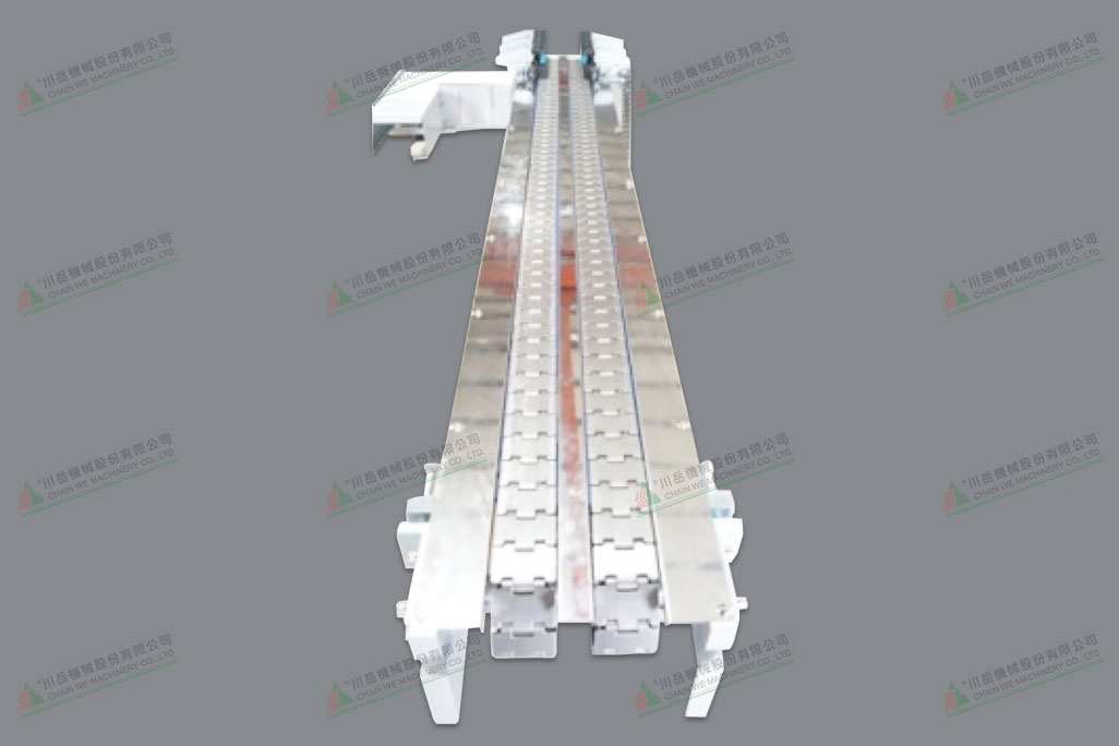 Top chain conveyor